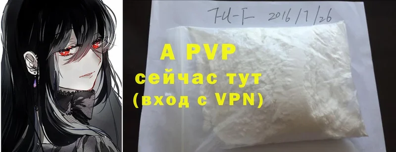 Alfa_PVP СК  Дубна 